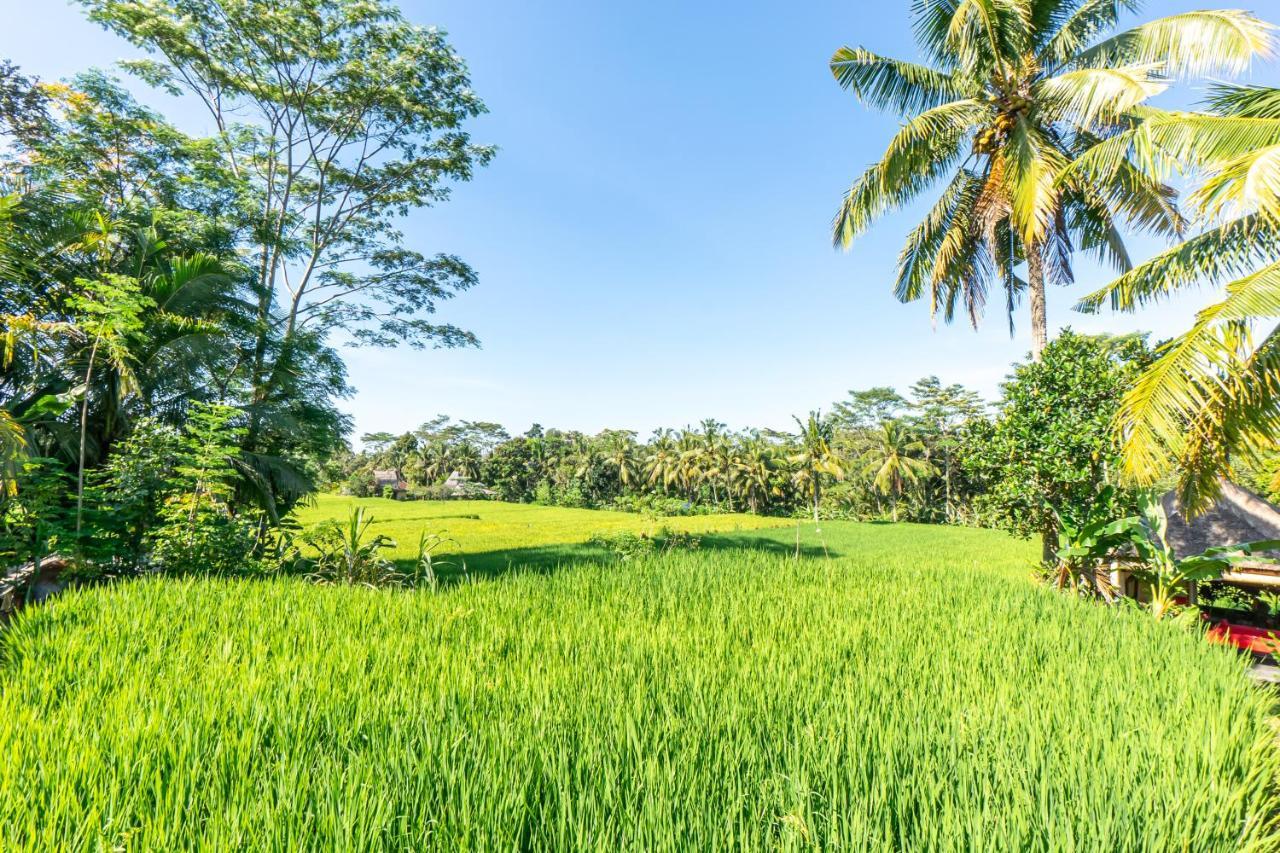 Rouge - Private Villa Passion Ubud Eksteriør bilde